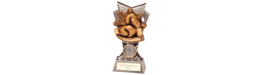 SPECTRE BOXING RESIN TROPHY - 3 SIZES - 15CM - 20CM SPECTRE BOXING RESIN TROPHY - 3 SIZES - 15CM - 20CM